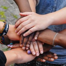 Proceso Donación Óvulos Tambredona